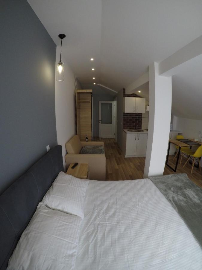 Edelberg Apartments Tatariv Extérieur photo